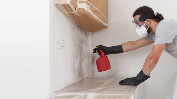 Professional Mold Removal technician working in Franklin Square, NY